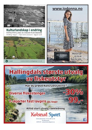 hallingdolen_magasin-20210612_000_00_00_029.pdf