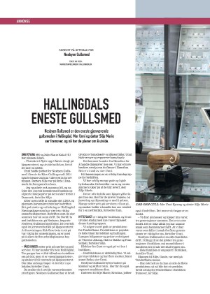 hallingdolen_magasin-20210612_000_00_00_040.pdf