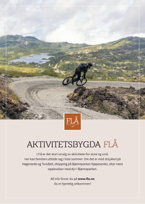 hallingdolen_magasin-20210612_000_00_00_058.pdf