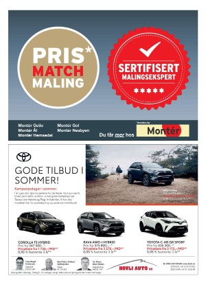 hallingdolen_magasin-20210612_000_00_00_060.pdf