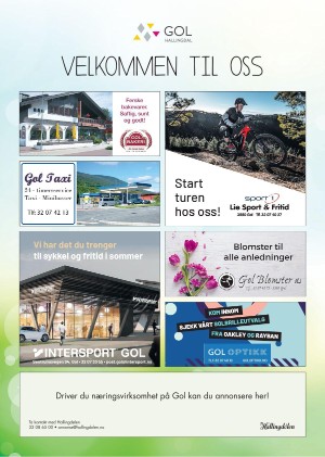 hallingdolen_magasin-20210612_000_00_00_068.pdf