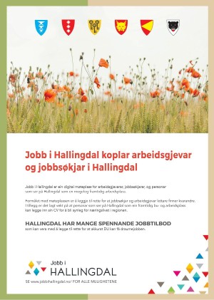 hallingdolen_magasin-20210612_000_00_00_070.pdf