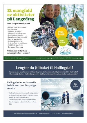 hallingdolen_magasin-20210612_000_00_00_074.pdf