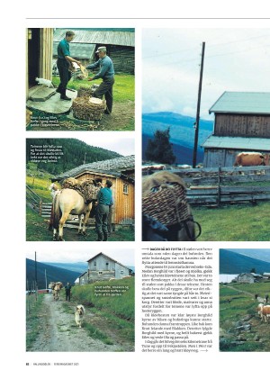 hallingdolen_magasin-20210612_000_00_00_082.pdf