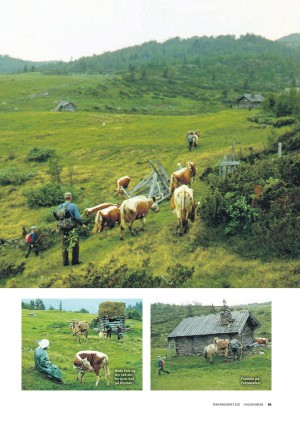 hallingdolen_magasin-20210612_000_00_00_085.pdf