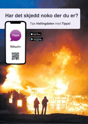 hallingdolen_magasin-20210612_000_00_00_086.pdf