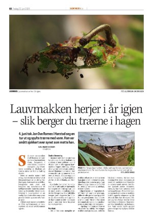harstadtidende_bilag-20240621_000_00_00_060.pdf