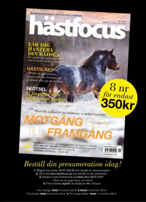 hastfocus-20140204_000_00_00_042.pdf