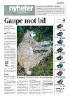 haugesundsavis-20080129_000_00_00_003.pdf
