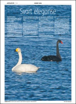 haugesundsavis_karmoy-20070301_000_00_00_014.pdf