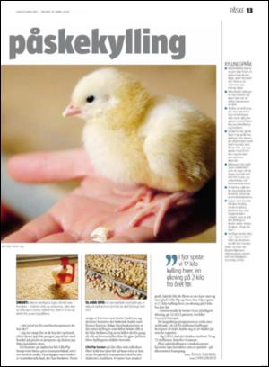 haugesundsavis_magasinet-20080319_000_00_00_013.pdf