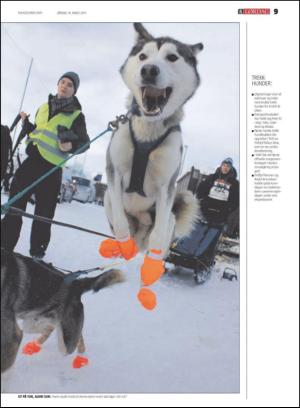 haugesundsavis_magasinet-20110319_000_00_00_009.pdf