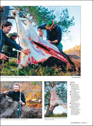 haugesundsavis_magasinet-20110910_000_00_00_011.pdf