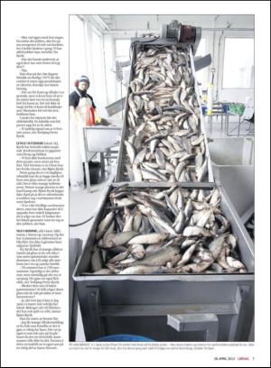 haugesundsavis_magasinet-20120428_000_00_00_007.pdf