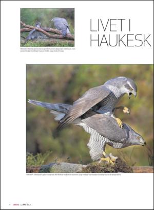 haugesundsavis_magasinet-20120512_000_00_00_004.pdf