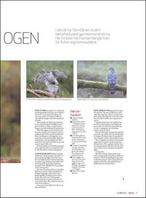 haugesundsavis_magasinet-20120512_000_00_00_005.pdf