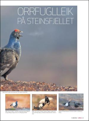 haugesundsavis_magasinet-20120609_000_00_00_015.pdf