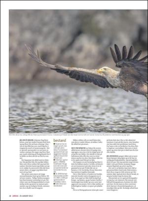 haugesundsavis_magasinet-20120825_000_00_00_018.pdf