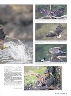 haugesundsavis_magasinet-20120825_000_00_00_019.pdf