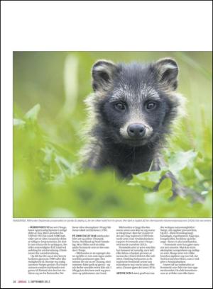 haugesundsavis_magasinet-20120901_000_00_00_020.pdf