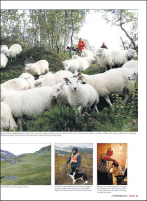 haugesundsavis_magasinet-20120922_000_00_00_011.pdf