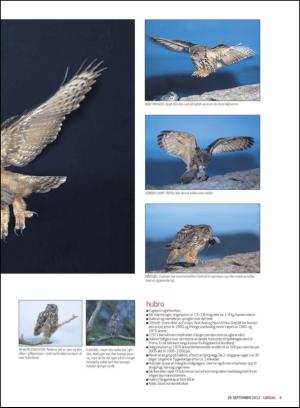 haugesundsavis_magasinet-20120929_000_00_00_005.pdf