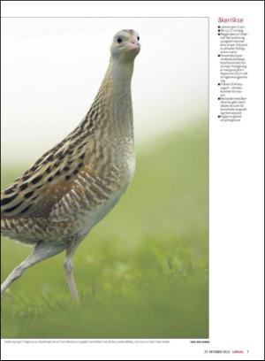 haugesundsavis_magasinet-20121027_000_00_00_007.pdf