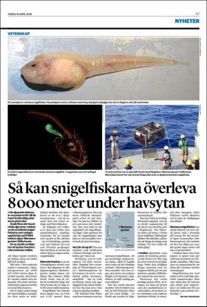 helsingborgsdagblad-20190416_000_00_00_007.pdf