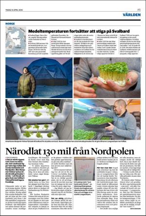 helsingborgsdagblad-20200414_000_00_00_015.pdf