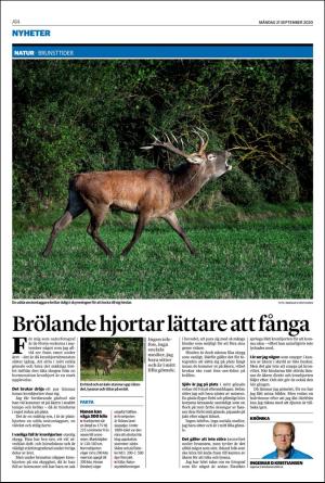 helsingborgsdagblad-20200921_000_00_00_014.pdf