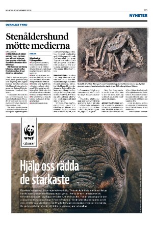 helsingborgsdagblad-20201130_000_00_00_015.pdf