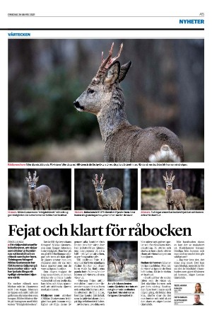 helsingborgsdagblad-20210324_000_00_00_015.pdf