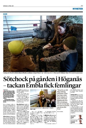 helsingborgsdagblad-20210404_000_00_00_019.pdf