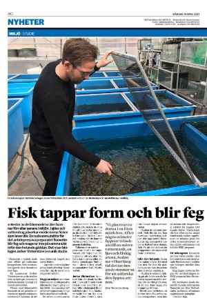 helsingborgsdagblad-20210419_000_00_00_010.pdf