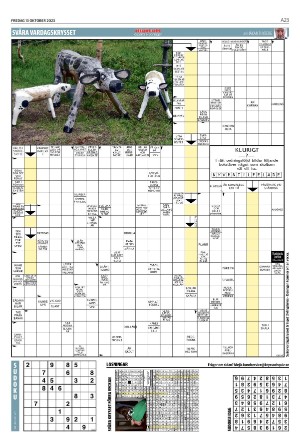 helsingborgsdagblad-20231013_000_00_00_023.pdf