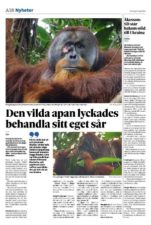 helsingborgsdagblad-20240505_000_00_00_018.pdf