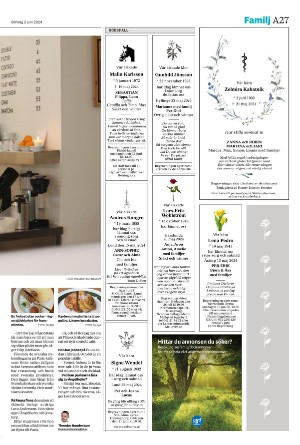 helsingborgsdagblad-20240602_000_00_00_027.pdf