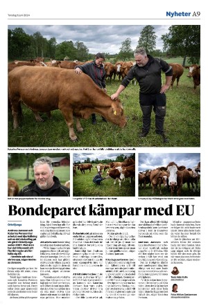 helsingborgsdagblad-20240606_000_00_00_009.pdf