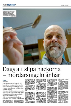 helsingborgsdagblad-20250406_000_00_00_018.pdf