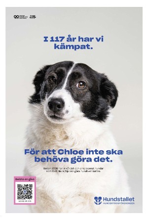 helsingborgsdagblad-20250512_000_00_00_003.pdf