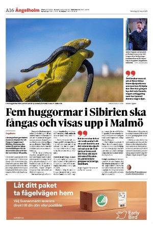 helsingborgsdagblad-20250522_000_00_00_016.pdf