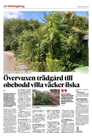 helsingborgsdagblad-20250822_000_00_00_008.pdf