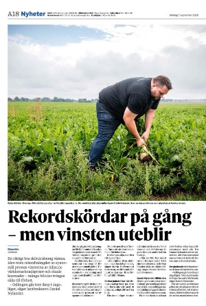 helsingborgsdagblad-20250907_000_00_00_018.pdf