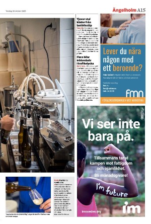 helsingborgsdagblad-20251030_000_00_00_015.pdf