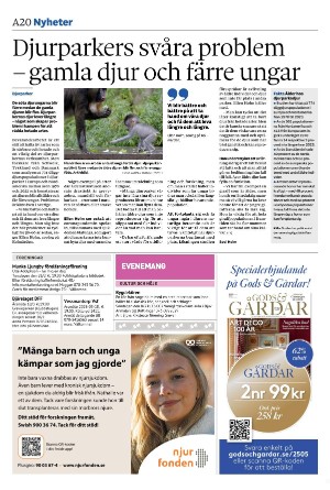 helsingborgsdagblad-20260224_000_00_00_020.pdf