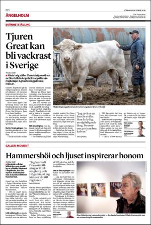 helsingborgsdagblad_b-20161015_000_00_00_010.pdf