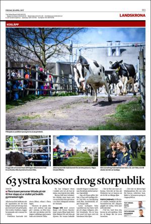 helsingborgsdagblad_b-20170428_000_00_00_013.pdf