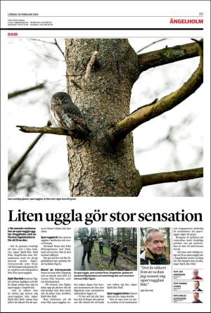 helsingborgsdagblad_b-20190216_000_00_00_011.pdf