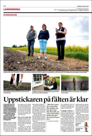 helsingborgsdagblad_b-20200528_000_00_00_010.pdf