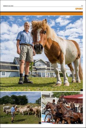 helsingborgsdagblad_b-20200719_000_00_00_003.pdf